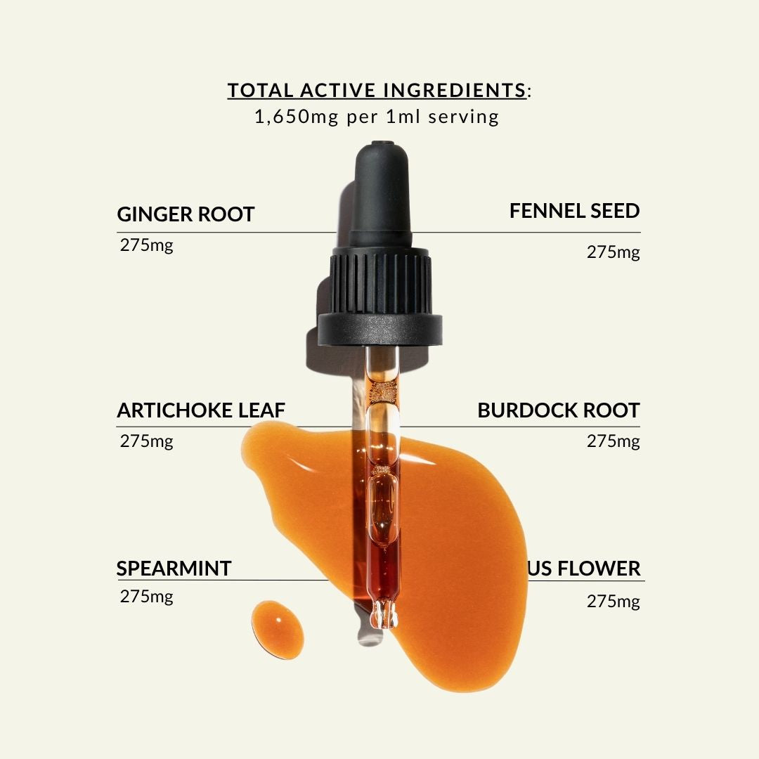 Fennel seed, ginger root, artichoke leaf, burdock root, hibiscus flower and spearmint  - Digestion tincture herbal ingredients. Herbs for digestive health in a liquid supplement as a digestion aid.