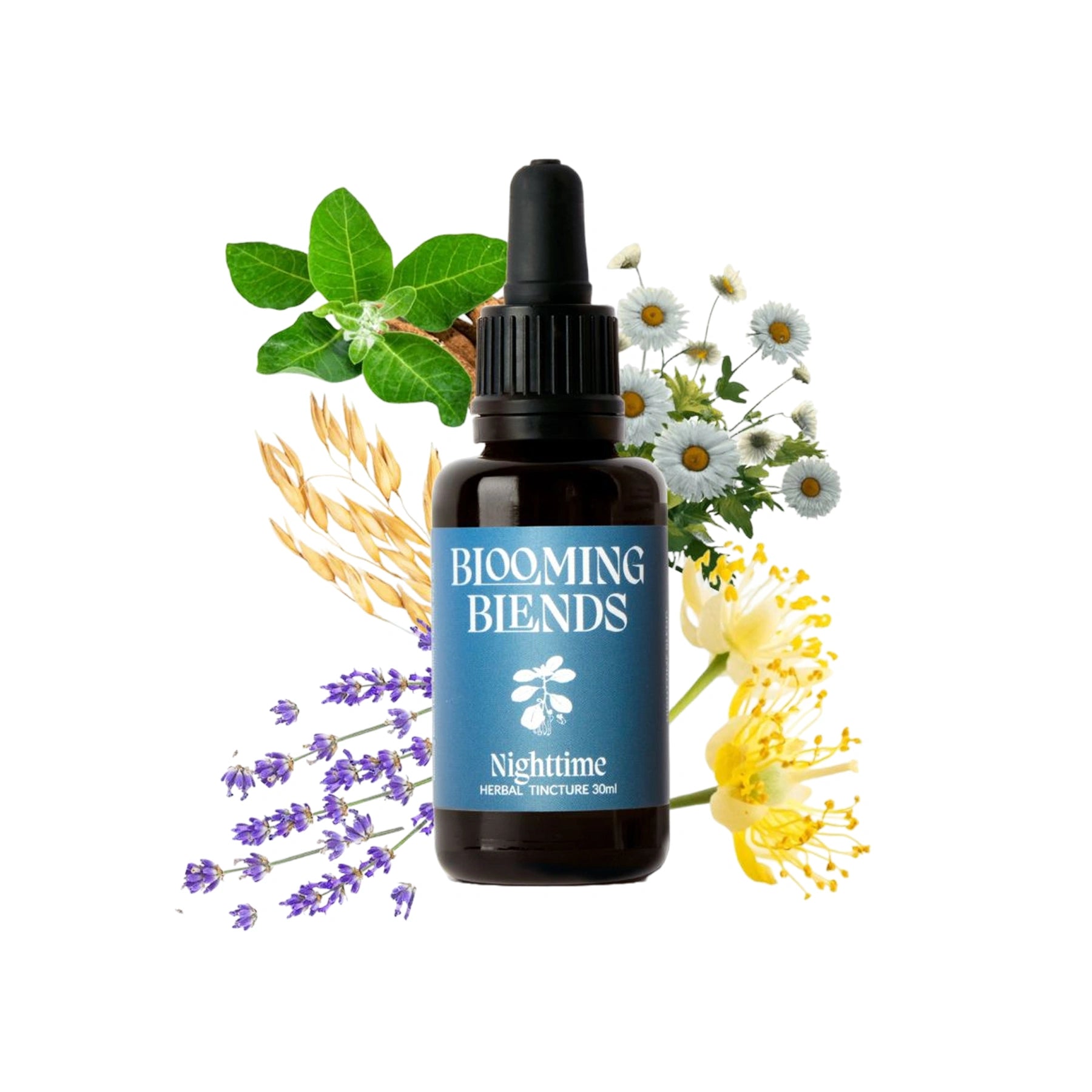 Blooming Blends Nighttime herbal tincture bottle surrounded by illustrated herbs.